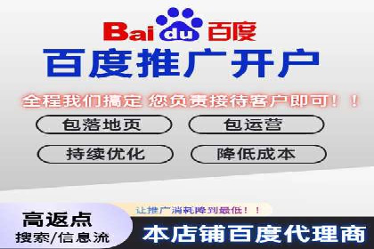 百度竞价排名案例分享：广告投放的技巧与误区